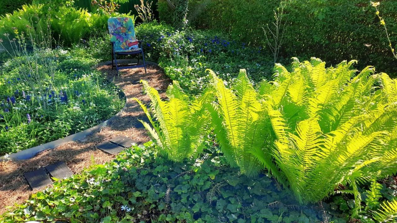 Mitten Im Seenland Und Spreewaldnah, Schoener Garten Щорков Екстериор снимка